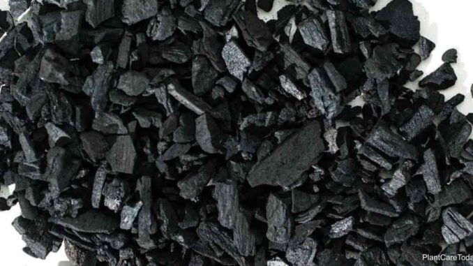 Składy węgla - wstępne wyniki kontroli UOKiK